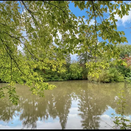 L'etang Des Mirandes